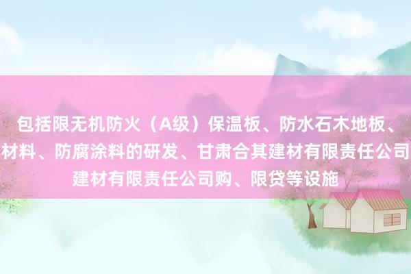 包括限无机防火（A级）保温板、防水石木地板、硅酸钙板、灌浆材料、防腐涂料的研发、甘肃合其建材有限责任公司购、限贷等设施
