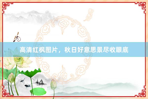 高清红枫图片，秋日好意思景尽收眼底