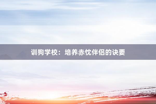 训狗学校：培养赤忱伴侣的诀要
