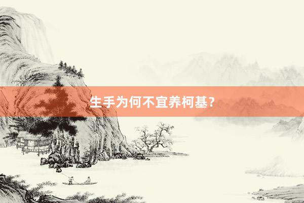 生手为何不宜养柯基？