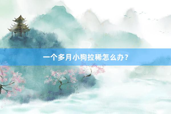 一个多月小狗拉稀怎么办？